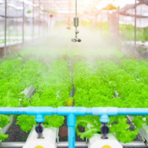 MFC500 IRR: Ideal for Greenhouses